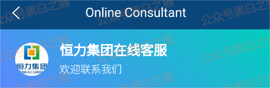 资金盘｜短命“恒力集团”返利快杀盘花样频出，参与人小心盘总一夜消失......(8)