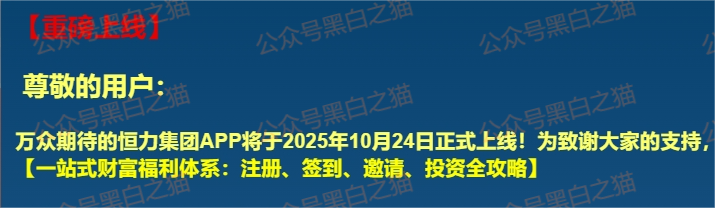 资金盘｜短命“恒力集团”返利快杀盘花样频出，参与人小心盘总一夜消失......(3)