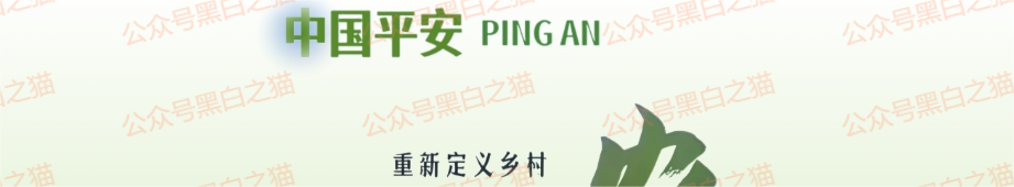 资金盘｜短命“恒力集团”返利快杀盘花样频出，参与人小心盘总一夜消失......(2)