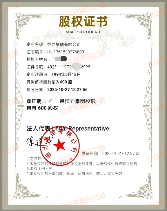 资金盘｜短命“恒力集团”返利快杀盘花样频出，参与人小心盘总一夜消失......(13)