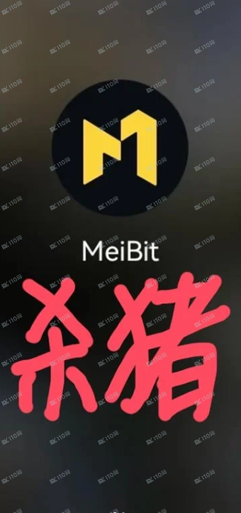 请大家警惕sha猪盘Meibit(1)