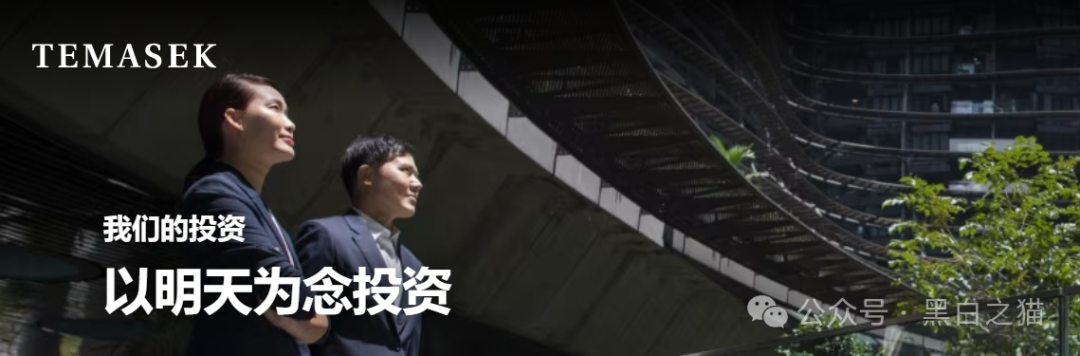 资金盘｜“淡马锡控股”遭诈骗碰瓷，新加坡官网设立警报提示......(2)