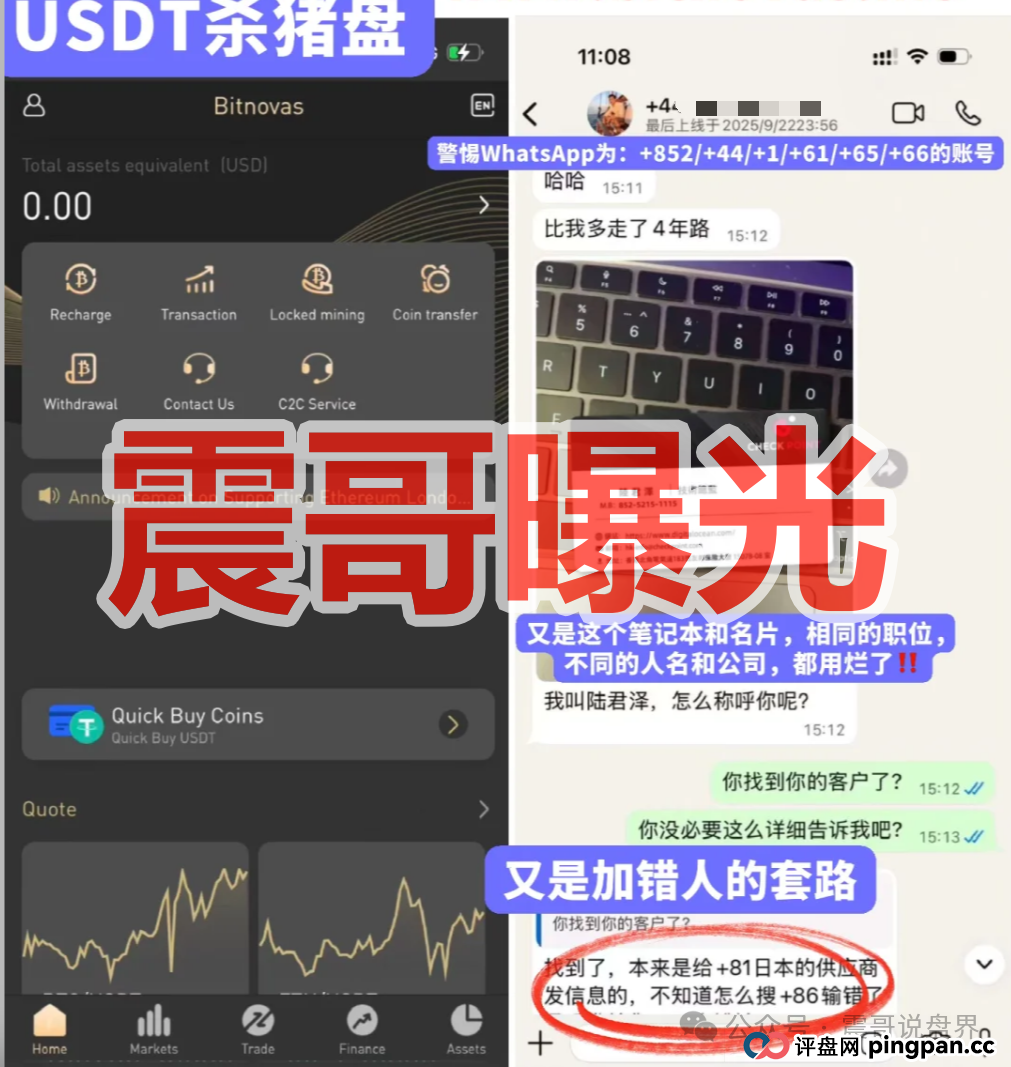 Bitnovas资金盘骗局，纯纯的恋爱杀猪盘，看见一定要远离(1)