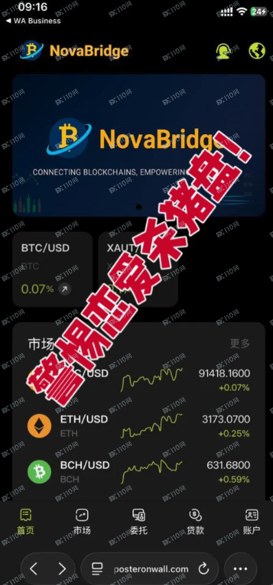 曝光NovaBridge虚假交易所恋爱杀猪盘