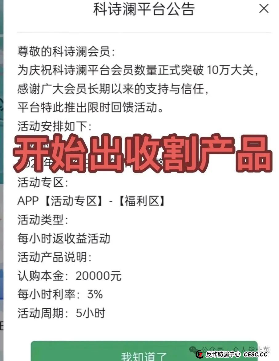 一个“科诗澜”受害者的自述：从2万到倾家荡产，我只用了7天