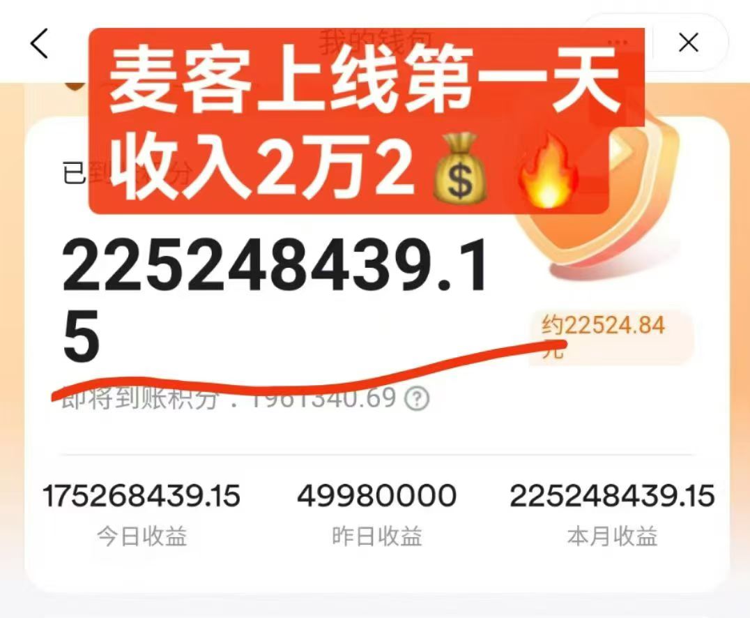 【麦客3.0】专业老师全程带，进群天天领福利，可零撸！(2)